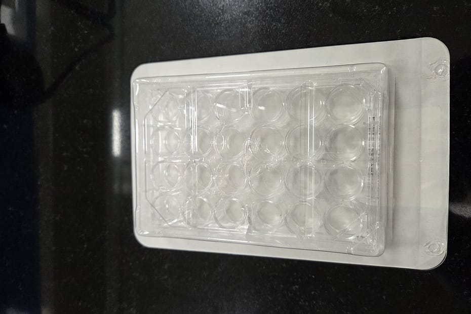 Sterile Multi-Well Cell Culture Plate for Benchtop Seeding